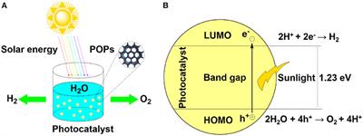 Porous Organic Polymers: An Emerged Platform for Photocatalytic Water Splitting